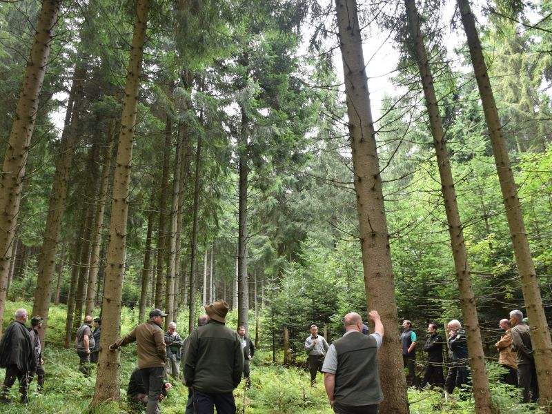 Účastníci lesníckeho dňa v teréne 