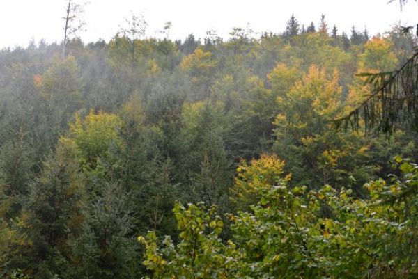 Ilustračn&eacute; foto Jozef Marko