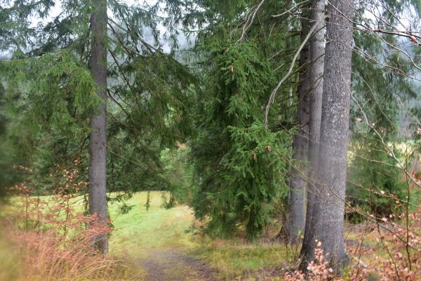 Ilustračné foto: Jozef Marko 