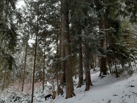 Foto: Mgr. Ondrej Jankura 