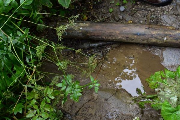 Ilustračn&eacute; foto Jozef Marko