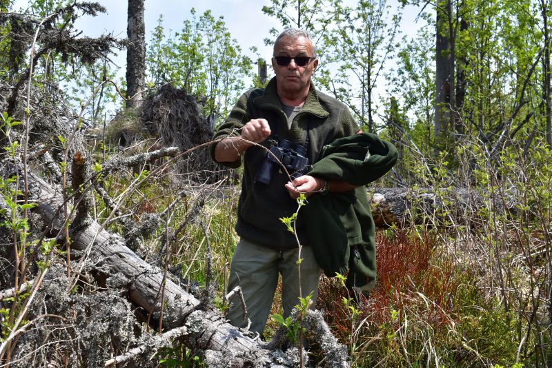 Ing. Ján Švančara na Fabovej holi v bezzásahovom území