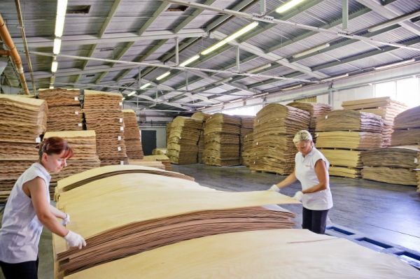 Ilustračn&eacute; foto: Internetov&aacute; str&aacute;nka DYAS.cz 