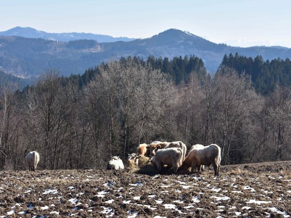 Ilustračné foto: Jozef Marko 