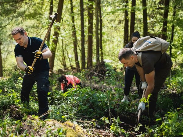 Zdroj: Internetová stránka Drevmag.com 
