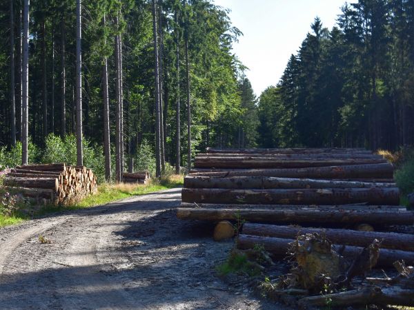 Ilustračné foto: Jozef Marko 