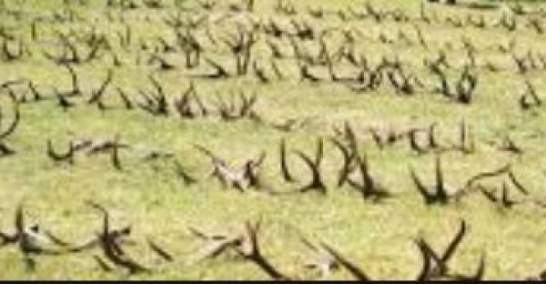 Ilustračn&eacute; foto