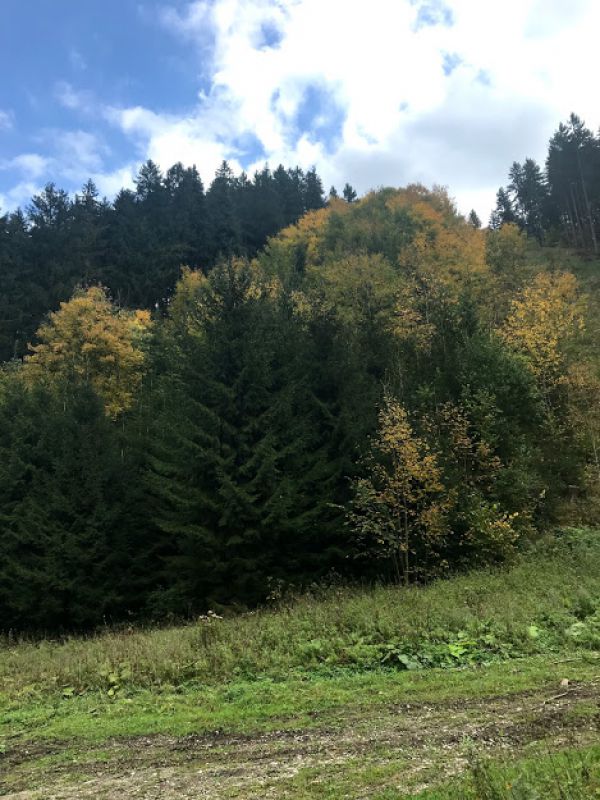 Zmie&scaron;an&eacute; 40-ročn&eacute; mladiny na Blatn&iacute;ku