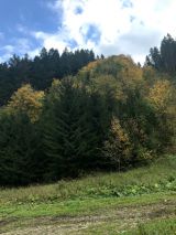 Zmie&scaron;an&eacute; 40-ročn&eacute; mladiny na Blatn&iacute;ku