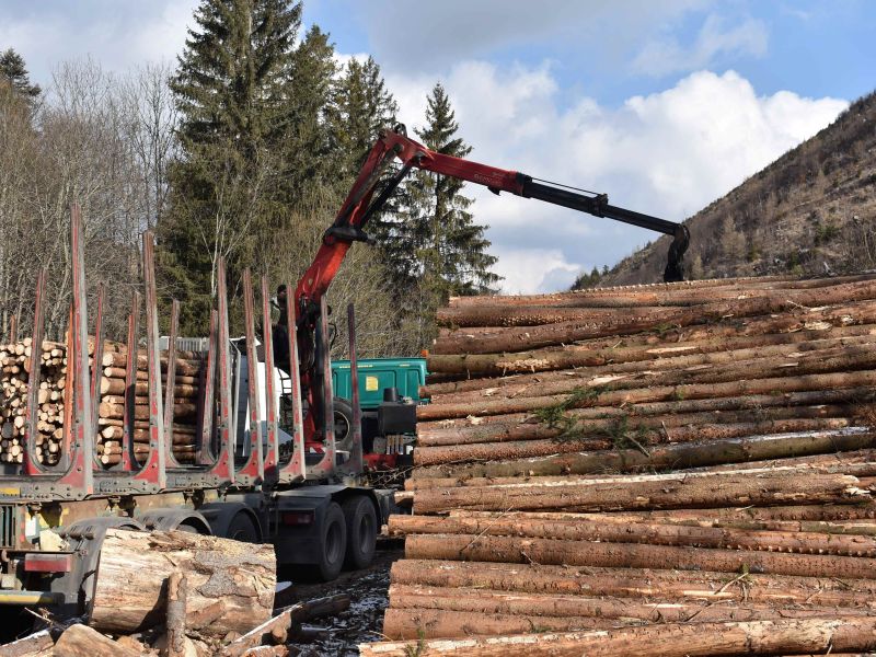 Ilustračné foto: Jozef Marko 