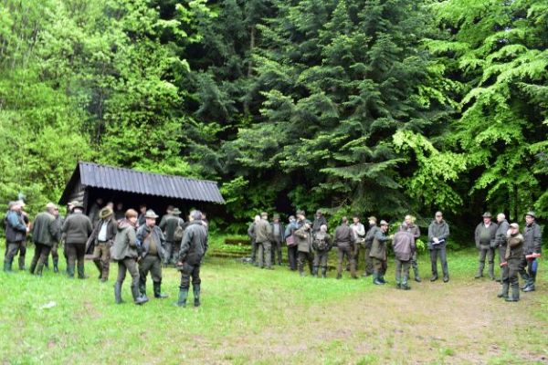 Lesy a lesn&iacute;ci v neistote 