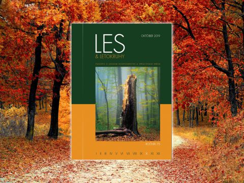 LES & Letokruhy OKTÓBER 2019
