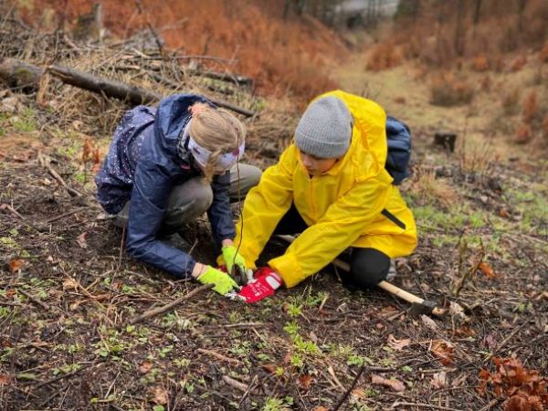 Ilustračn&eacute; foto: N&aacute;rodn&eacute; lesn&iacute;cke centrum 