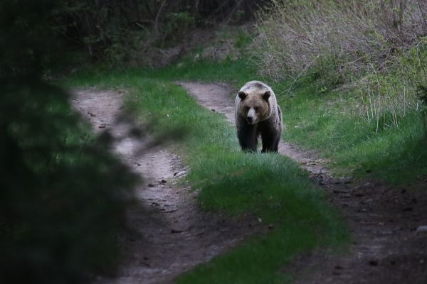 Ilustračn&eacute; foto: Ing. Pavol Lenko 