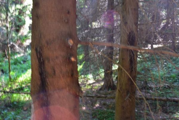 Ilustračné foto Jozef Marko