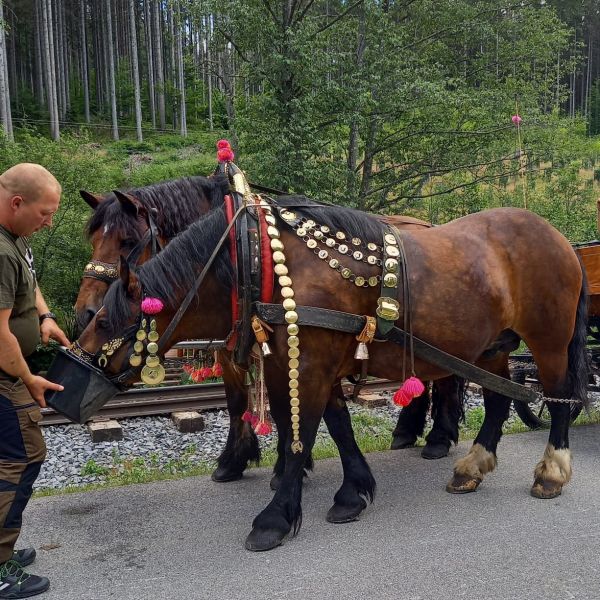 Ilustračn&eacute; foto: FB str&aacute;nka &Uacute;NIE 