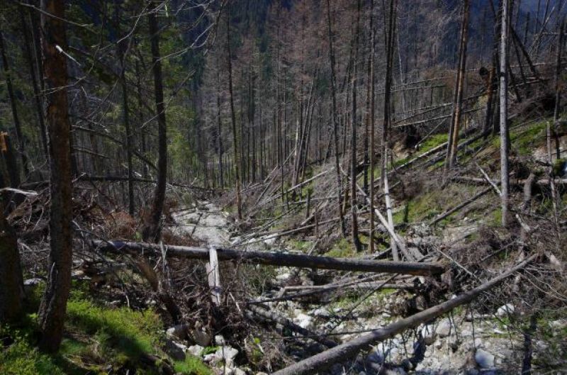 Výsledok ochranárskeho experimentu v Bielovodskej doline v TANAP-e: Pôdna erózia 