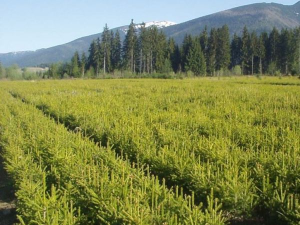 &Scaron;k&ocirc;lk&aacute;rske stredisko Jochy na Liptove 