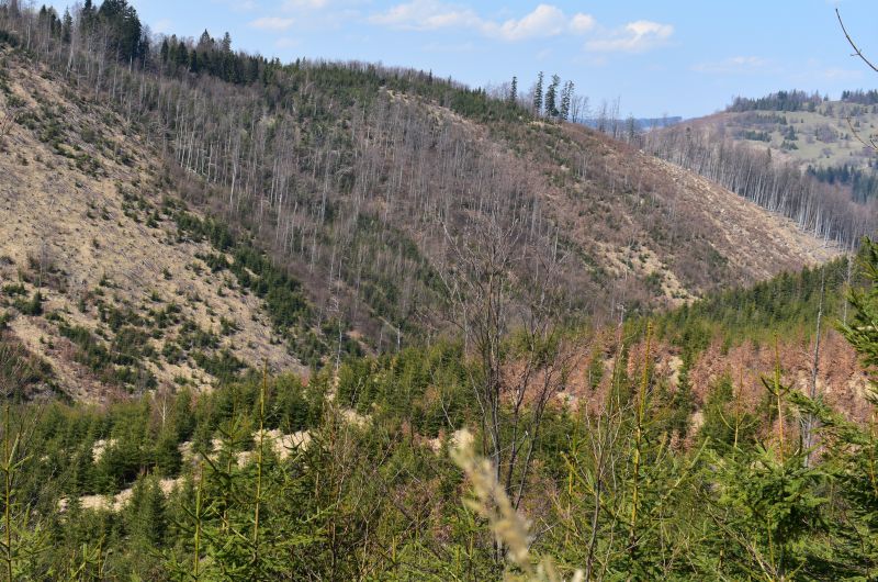 Ilustračné foto Jozef Marko