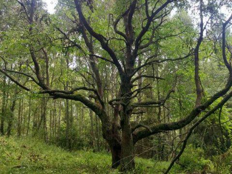 Foto: Ing. Marek Nosko 