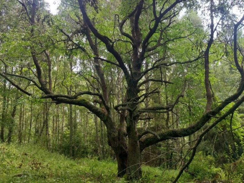 Foto: Ing. Marek Nosko 