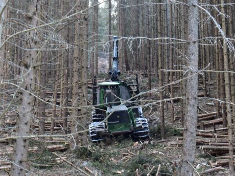 Ilustračné foto: Jozef Marko 