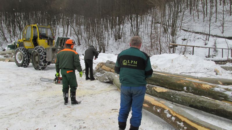Vyťažené drevo na odvoznom mieste v LPM Ulič 