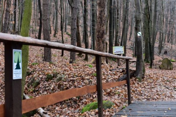 Ilustračn&eacute; foto Jozef Marko