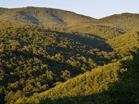 Popis fotografie na konci textu autora 