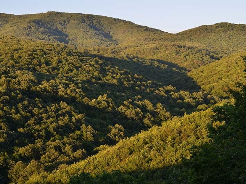 Popis fotografie na konci textu autora 