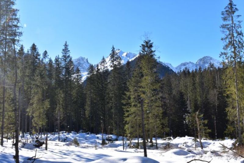 Tatranský národný park 
