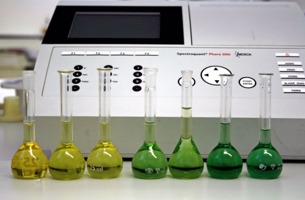 Ilustračn&eacute; foto NLC Zvolen 