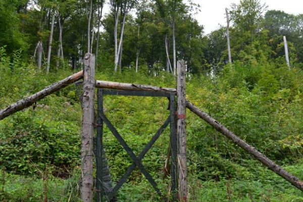 Ilustračn&eacute; foto Jozef Marko