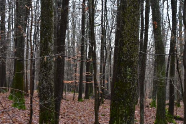 Ilustračn&eacute; foto Jozef Marko