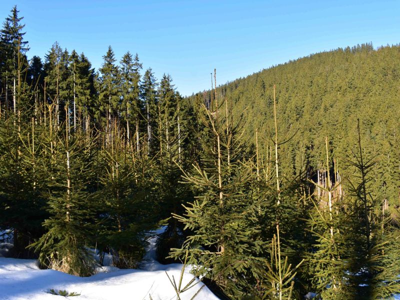 Ilustračn&eacute; foto: Jozef Marko 