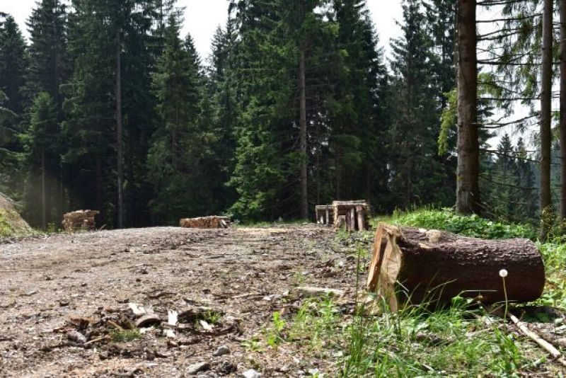 Ilustračné foto Jozef Marko