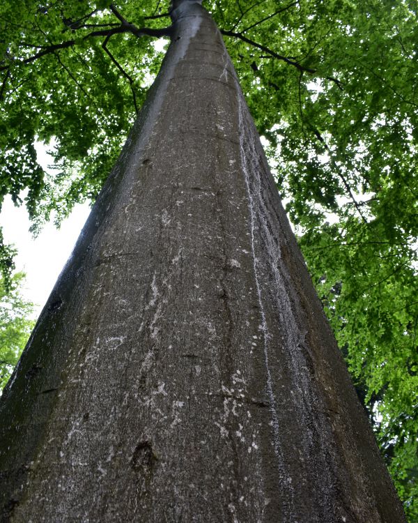 Ilustračné foto Jozef Marko