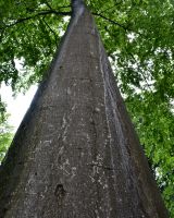 Ilustračn&eacute; foto Jozef Marko