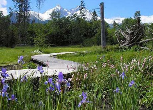 Z&aacute;žitok v expoz&iacute;cii tatranskej pr&iacute;rody