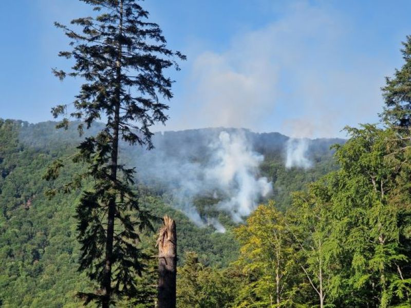 Pohľad na lesný požiar v porastoch košických mestských lesov 