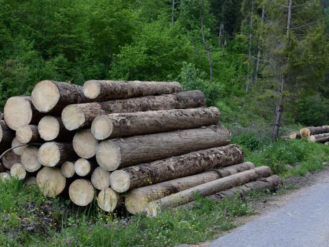 Ilustračné foto: Jozef Marko 