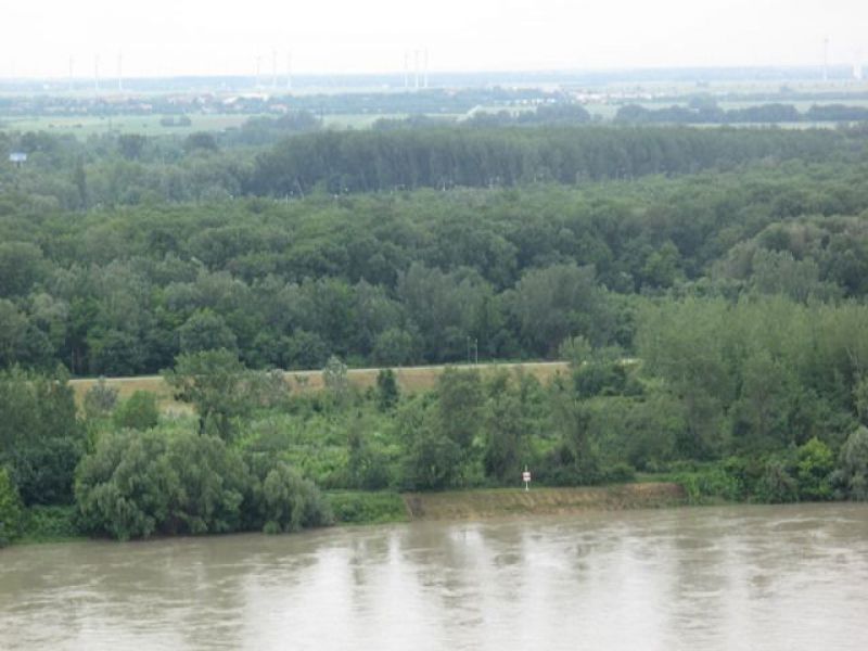 Mesto chce štátne lesy