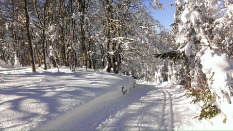 Zimná scenéria v súkromných lesoch, ktoré patria do územia CHKO Kysuce 