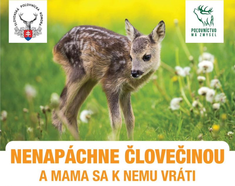Zdroj: FB stránka Slovenskej poľovníckej komory 