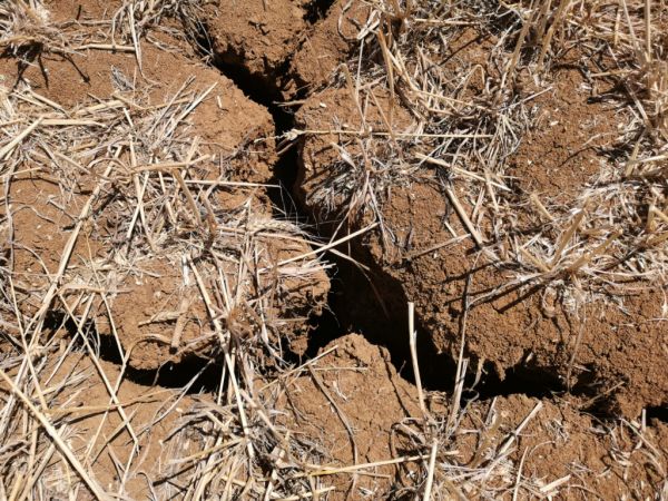 Ilustračn&eacute; foto: Internetov&aacute; str&aacute;nka MPaRV SR 