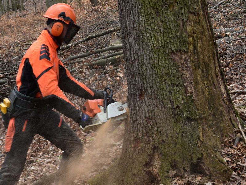 Ilustračné foto: Jozef Marko 