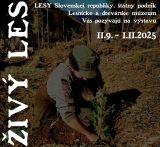 Zdroj: Internetová stránka LESY SR 