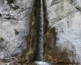 Ilustračné foto: Jozef Marko 