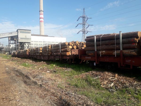 Drevo zo štátneho podniku LESY SR v areáli Bukózy Holding 