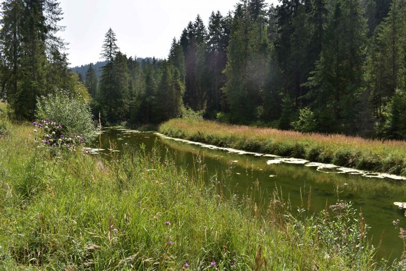 Ilustračné foto: Jozef Marko 